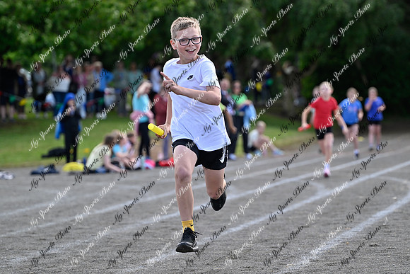 Tandragee 2026-446
