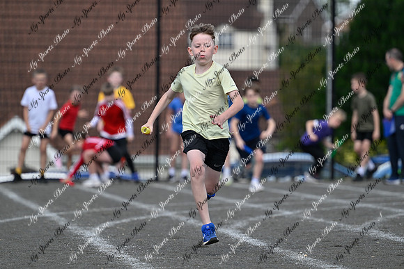 Tandragee 2026-456