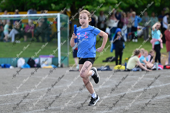 Tandragee 2026-452