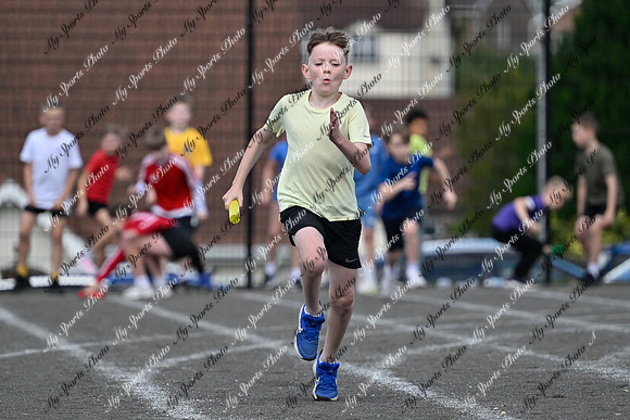 Tandragee 2026-455