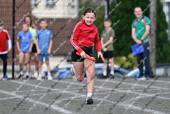 Tandragee 2026-464