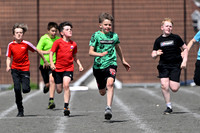 Tandragee PS 2026