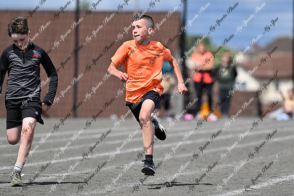 Tandragee 2026-230