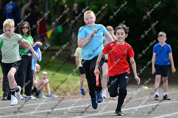 Tandragee 2026-469
