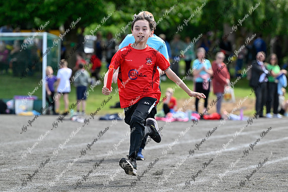 Tandragee 2026-474