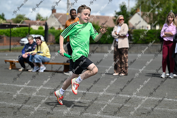 Tandragee 2026-484