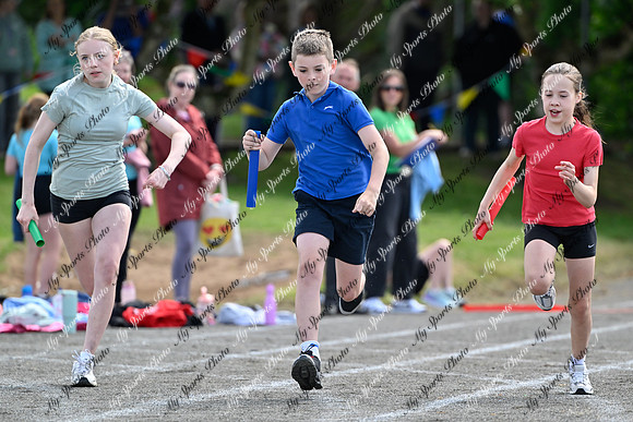 Tandragee 2026-491