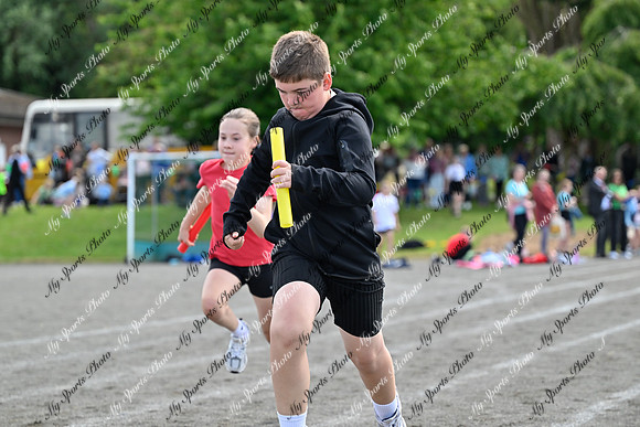 Tandragee 2026-498