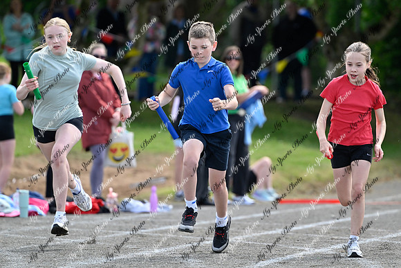 Tandragee 2026-490