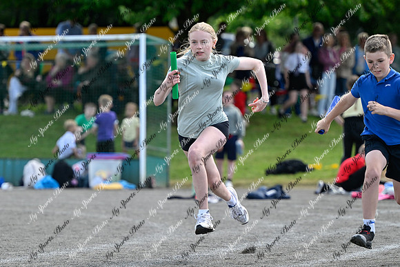 Tandragee 2026-494