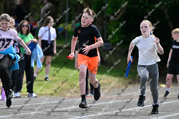 Tandragee 2026-510