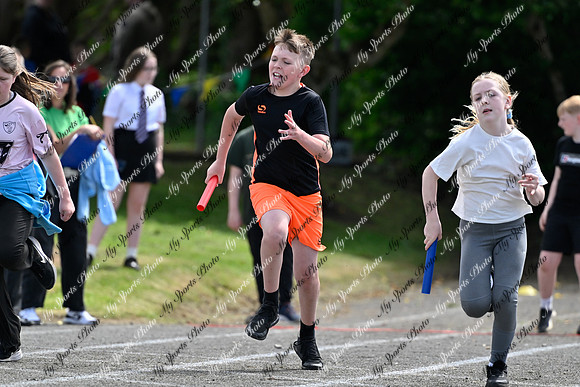 Tandragee 2026-509