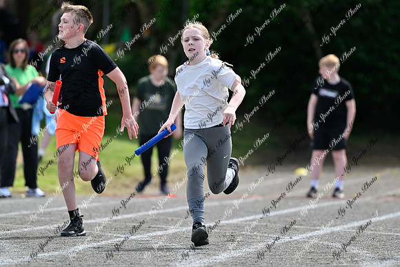 Tandragee 2026-511