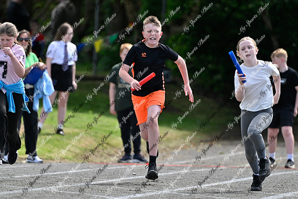 Tandragee 2026-508
