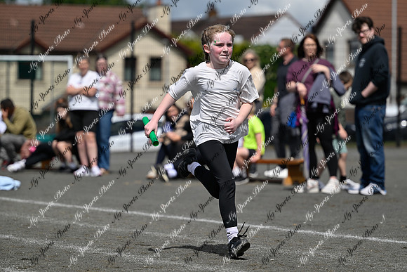 Tandragee 2026-524