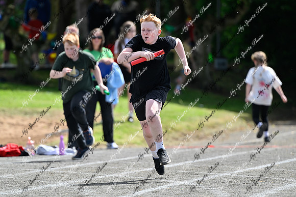 Tandragee 2026-528
