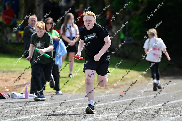 Tandragee 2026-527