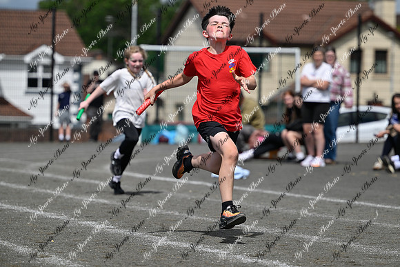 Tandragee 2026-522