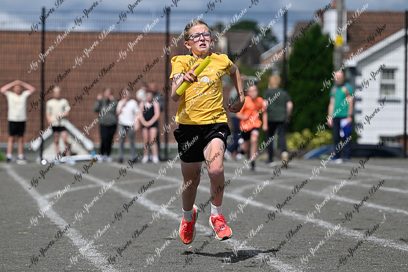 Tandragee 2026-538