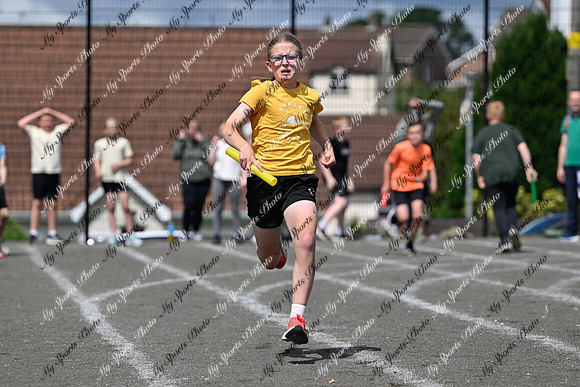 Tandragee 2026-536