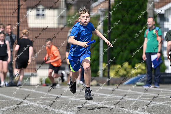 Tandragee 2026-535