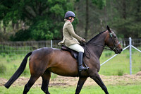 Armagh Show 2026-5