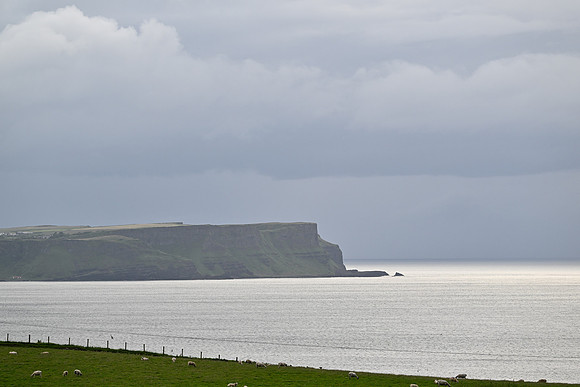 Pedal Causeway 2026-2
