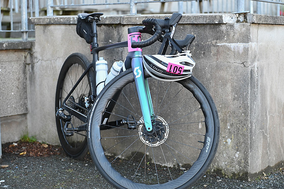 Pedal Causeway 2026-12