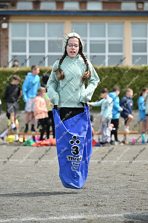 Tandragee PS-27