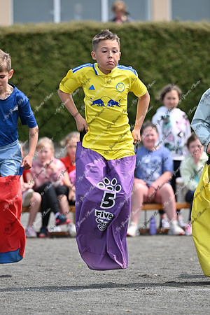 Tandragee PS-90
