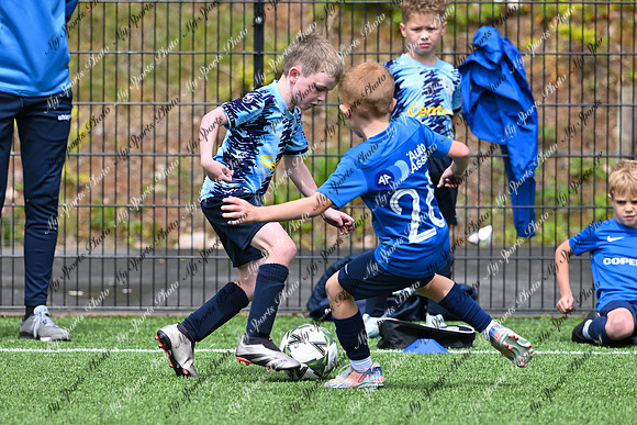Loughgall U7's Toutnament 2025-554