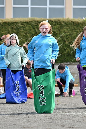 Tandragee PS-22