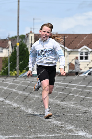 Tandragee PS-65