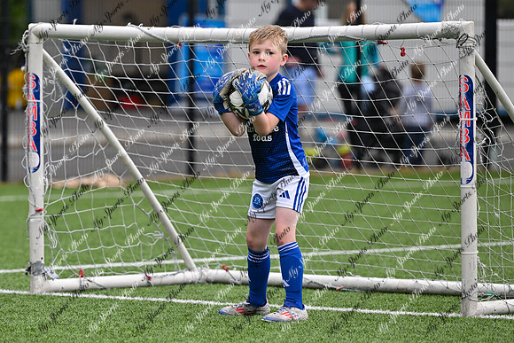 Loughgall U7's Toutnament 2025-31