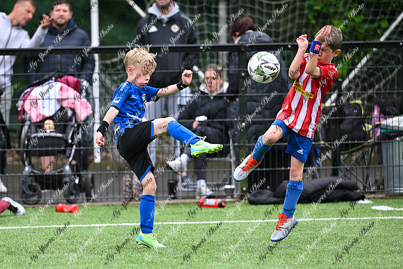 Loughgall U7's Toutnament 2025-515
