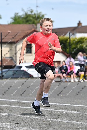 Tandragee PS-50