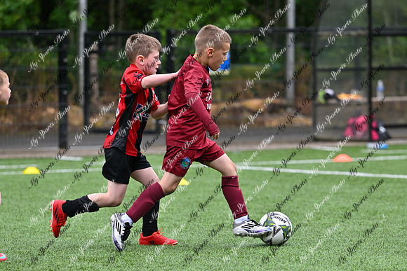 Loughgall U7's Toutnament 2025-446