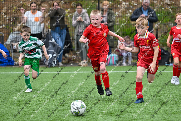 Loughgall U7's Toutnament 2025-647