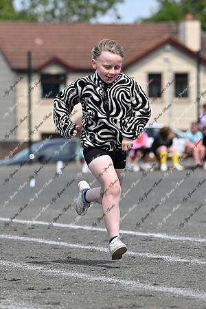 Tandragee PS-40