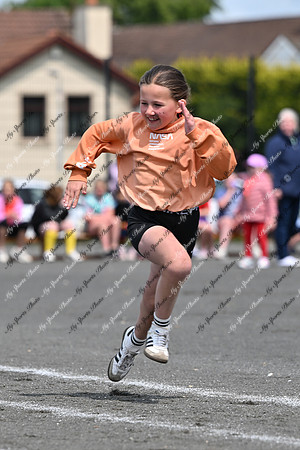 Tandragee PS-39