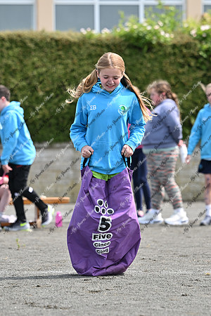Tandragee PS-24