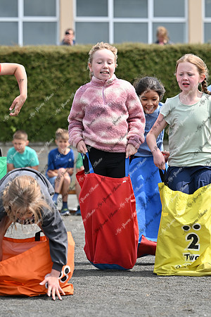 Tandragee PS-80