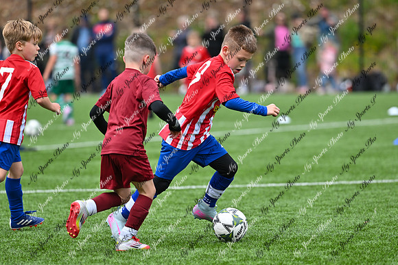 Loughgall U7's Toutnament 2025-594