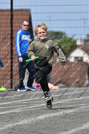 Tandragee PS-240