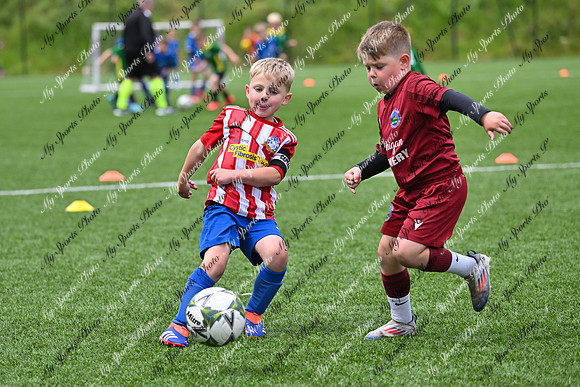 Loughgall U7's Toutnament 2025-589