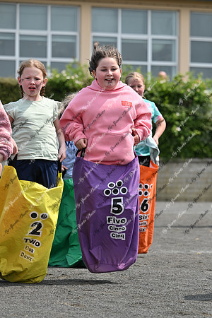 Tandragee PS-83