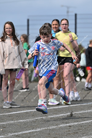 Tandragee PS-262