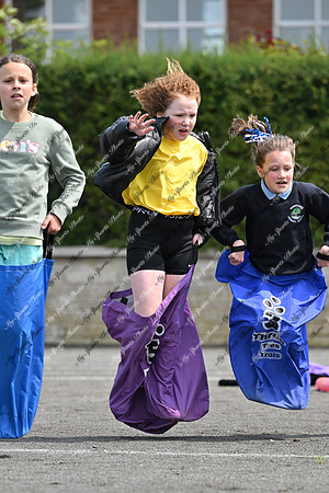 Tandragee PS-75