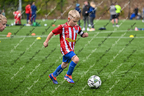Loughgall U7's Toutnament 2025-531