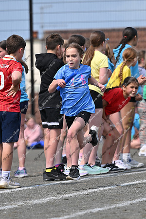 Tandragee PS-239